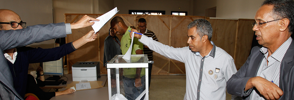 observers-les-elections_2